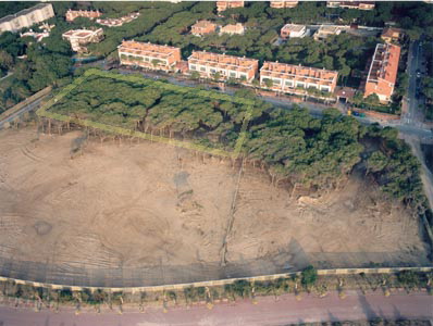 Imatge aèria de la pineda sobre la que es construirà l'escola de Gavà Mar